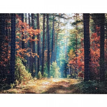 Difficult 1000 Piece Jigsaw Puzzle - Forest at Sunrise